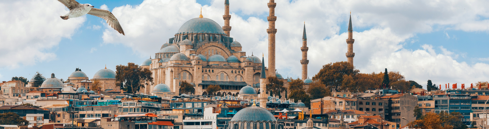 Saint Petersburg to Istanbul